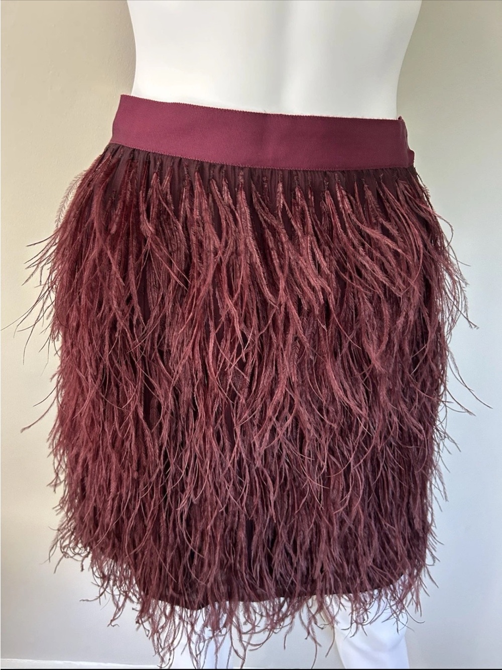 NWT Lela Rose Aubergine Feather Embroidered Silk Mini Skirt Size 2 USA